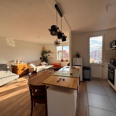 Bel Appartement Proche Mulhouse Pfastatt エクステリア 写真